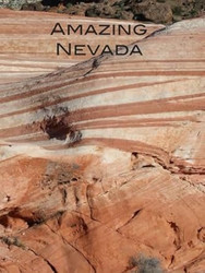 Amazing Nevada