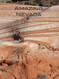 Amazing Nevada