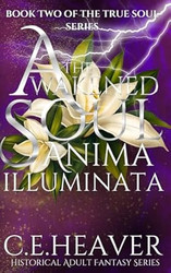 The Awakened Soul (The True Soul)
