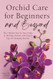 Orchid Care for Beginners and Beyond