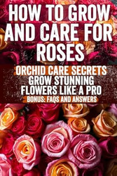 How to Grow and Care for Roses