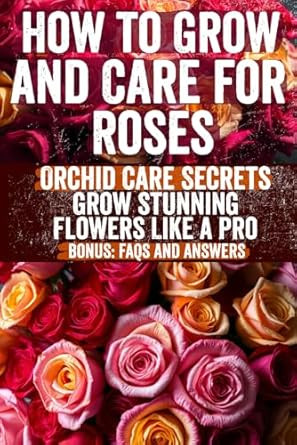 How to Grow and Care for Roses