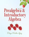 Pre-Algebra And Introductory Algebra