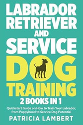 Labrador Retriever And Service Dog Training