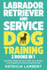 Labrador Retriever And Service Dog Training