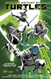 Teenage Mutant Ninja Turtles Vol. 1: Return to New York