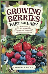 GROWING BERRIES FAST AND EASY