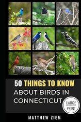 50 Things to Know About Birds in Connecticut Large Print