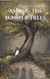 Among The Juniper Trees