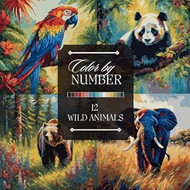 Color by Number Adult Coloring Book