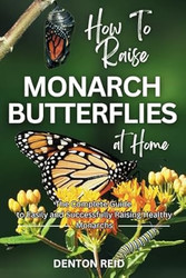 How to Raise Monarch Butterflies at Home
