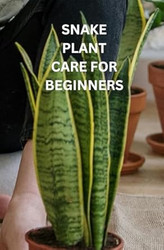 Snake Plant Care for Beginners