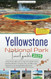 Yellowstone National Park Travel Guide 2025 A New Pocket