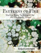 Patterns of Fire