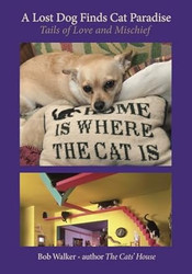 A Lost Dog Finds Cat Paradise