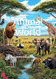 Animal World Animal World