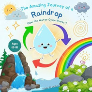 The Amazing Journey of a Raindrop