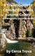 A Travel Guide to Chasing Colorado Autumn Colors A Travel Guide to Chasing Colorado Autumn Colors