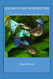 Aquarium Fish Reproduction