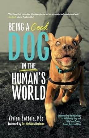 Being A (Good) Dog In The Human's World: Understanding the
