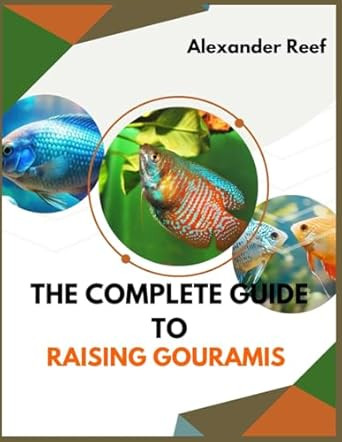 The Complete Guide to Raising Gouramis