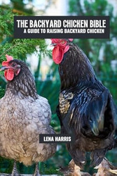 The backyard chicken bible