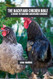 The backyard chicken bible