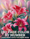 100 Page Color By Number Large Print Adult Coloring Book