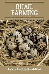 Quail Farming