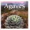 Agaves: Species Cultivars & Hybrids Second Edition