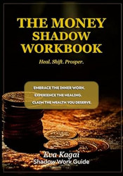The Money Shadow Workbook