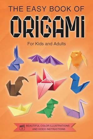 Origami for Kids Teens and Adults