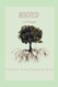 Rooted In Prayer
