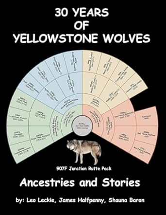 30 Years of Yellowstone Wolves
