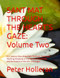 SANT MAT THROUGH THE HEART'S GAZE: Volume Two
