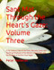 Sant Mat Through the Heart's Gaze: Volume Three