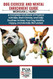 DOG EXERCISE AND MENTAL ENRICHMENT GUIDE