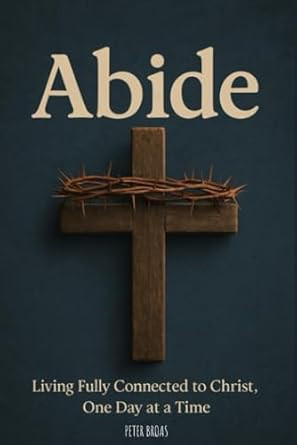 Abide: Living Fully Connected to Christ One Day at a Time