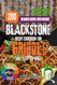 BLACKSTONE RECIPE COOKBOOK FOR GRIDDLE AND FLAT-TOP GRILL