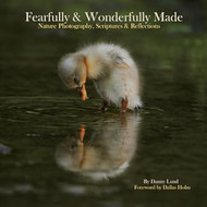 Fearfully & Wonderfully Made