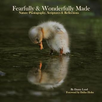 Fearfully & Wonderfully Made