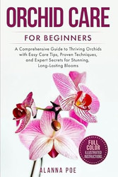 Orchid Care for Beginners