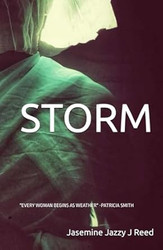 STORM: "EVERY WOMAN BEGINS AS WEATHER" -PATRICIA SMITH