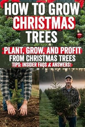 How to Grow Christmas Trees