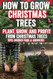 How to Grow Christmas Trees
