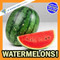 Watermelons!: A My Incredible World Picture Book for Children