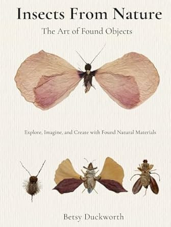 Insects From Nature