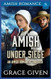 Amish Under Siege: An Amish Romantic Thriller