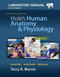 Laboratory Manual For Hole'S Human Anatomy And Physiology Pig Version