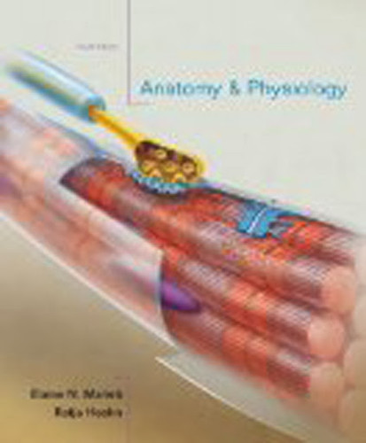 Anatomy And Physiology